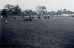 Woodford House Field 1958