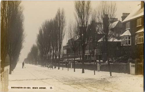 Snow in Beach Ave ~1910