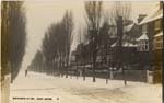 Snow in Beach Ave ~1910