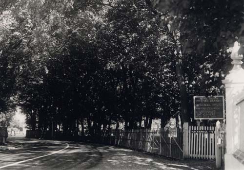Hall Avnue  - Homeward Farm gate 1938