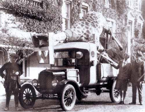 Delivery to Museum c1920