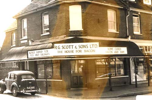 Scotts, 1964