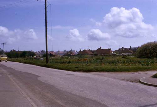 Minnis Road Allotments 1966